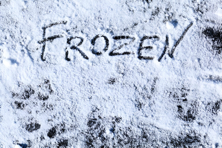 Frost-Proof Your Life: