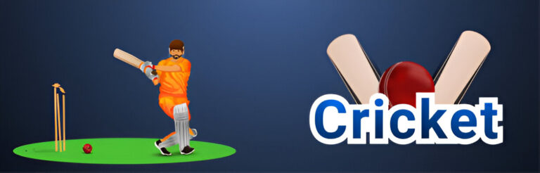 Bets in IPL Cricke