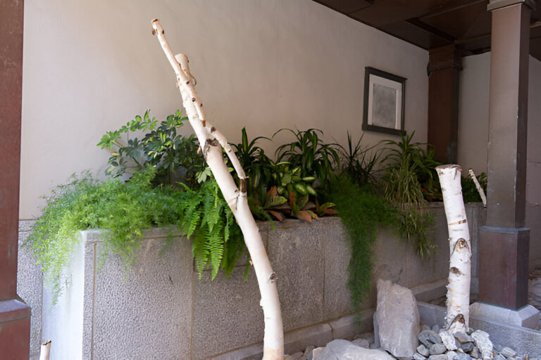 Landscaping Ideas to Integrate
